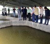 بازدید معاون آبزی شیلات ایران از مزرعه پرورش ماهیان خاویاری در گیلده شفت