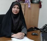 آینده خوبی برای فرهنگ و هنر شفت متصور است