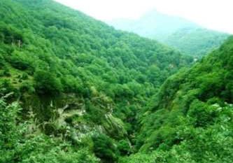 کارشناسان یونسکو برای ثبت جهانی جنگل های هیرکانی به شمال می آیند