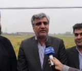 استاندار گیلان از شالیزارهای شهرستان شفت بازدید نمود