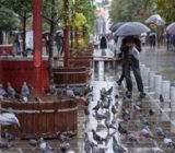 برف و باران در راه گیلان/ دمای هوا ۱۵ درجه کاهش می‌یابد