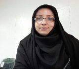 تقاضای پرورش گل محمدی در گیلان رو به افزایش است