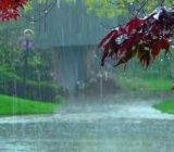 آغاز بارش باران از عصر دوشنبه در گیلان/ احتمال بارش برف در ارتفاعات