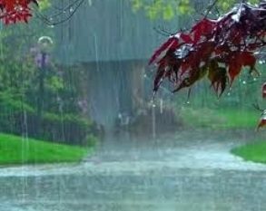 آغاز بارش باران از عصر دوشنبه در گیلان/ احتمال بارش برف در ارتفاعات