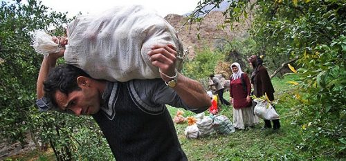اجرای بیمه تکمیلی روستاییان و عشایر برای اولین بار از سال آینده