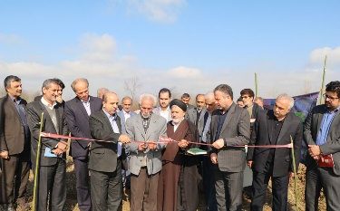 بهره برداری از ۳ طرح عام المنفعه در شفت