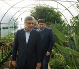 اولین کارگاه آموزشی کشت هیدروپونیک در گیلان افتتاح شد