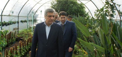 اولین کارگاه آموزشی کشت هیدروپونیک در گیلان افتتاح شد