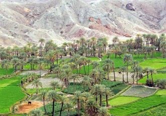 قصرقند؛ سرزمین شگفتی ها