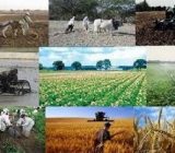 اجرای طرح چند منبع درآمدی کردن روستائیان در گیلان