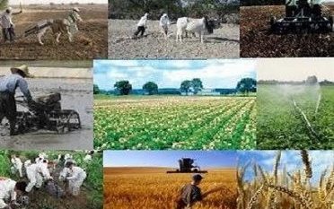 اجرای طرح چند منبع درآمدی کردن روستائیان در گیلان