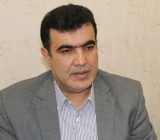 نشای ۹۵ درصد از شالیزاری های شفت