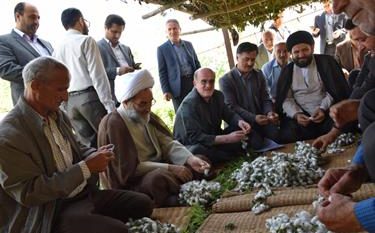 مسئولان دست واسطه ها در صنعت نوغانداری را کوتاه کنند