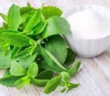 استویا گیاهی شیرین و کم زحمت برای افزایش درآمد کشاورزان