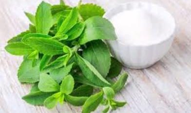استویا گیاهی شیرین و کم زحمت برای افزایش درآمد کشاورزان