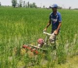 خط اعتباری ۷۴ میلیارد تومانی برای اعطای تسهیلات مکانیزاسیون کشاورزی در گیلان