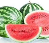 تولید بیش از ۷۴هزار تن هندوانه در گیلان
