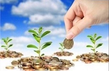 صندوق حمایت کشاورزی در گیلان تاسیس می‌شود