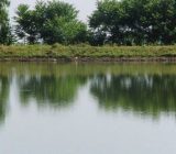 اختصاص ۸۸ میلیارد تومان برای لایروبی آب‌بندان‌های کشاورزی گیلان