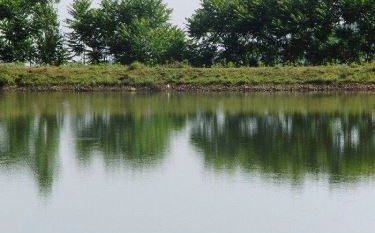 اختصاص ۸۸ میلیارد تومان برای لایروبی آب‌بندان‌های کشاورزی گیلان