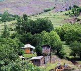 چتر بیمه دولت بر فراز روستاهای گیلان