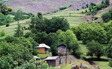 چتر بیمه دولت بر فراز روستاهای گیلان