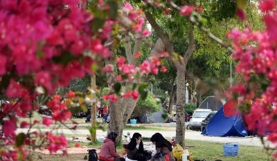 گرهی بر سیزده تاجدار