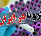 ۲ شرکت ایرانی در تلاش برای تولید داروی گیاهی کرونا | تولید انبوه پس از تأیید سازمان غذا و دارو