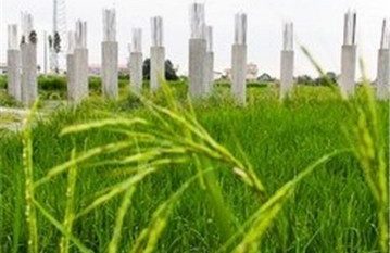 دستگاه قضایی تغییر کاربری اراضی را نمی‌پذیرد