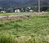 کارگروه بررسی خسارت شالیزارهای گیلان تشکیل می‌شود