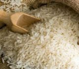 موسسه تحقیقات برنج کشور ۲ رقم جدید این محصول را معرفی کرد