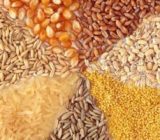 تأمین نهاده های دامی و کشاورزی برای حفظ استقلال و امنیت غذایی