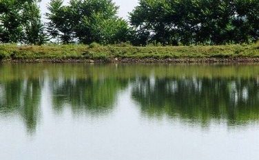 اولویت واگذاری آب‌بندان‌های گیلان به افراد بومی