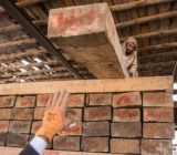 قاچاق چوب‌ در استان گیلان ۴۰ درصد افزایش یافت