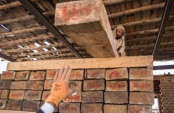 قاچاق چوب‌ در استان گیلان ۴۰ درصد افزایش یافت