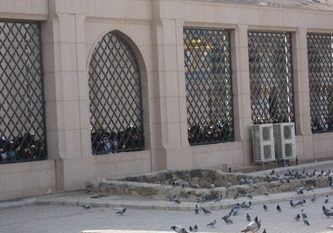 فداکاری مادرانه، صبر و وفای همسرانه / درس هایی که از ام البنین می توان گرفت؛