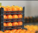 قیمت مصوب میوه شب عید در گیلان اعلام شد