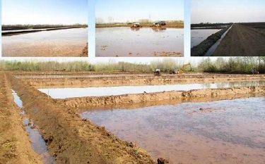 ۹۰۰هکتار از اراضی کشاورزی گیلان امسال تجهیز و یکپارچه سازی می‌شود