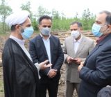 دستور رئیس کل دادگستری گیلان برای توقف برداشت چوب از جنگل های شفت