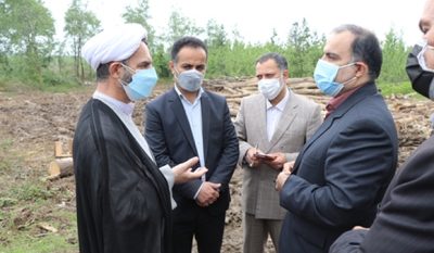 دستور رئیس کل دادگستری گیلان برای توقف برداشت چوب از جنگل های شفت