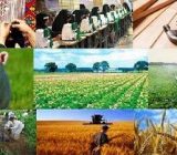 ۵۰۰ میلیارد تومان تسهیلات اشتغال روستایی در گیلان پرداخت شد