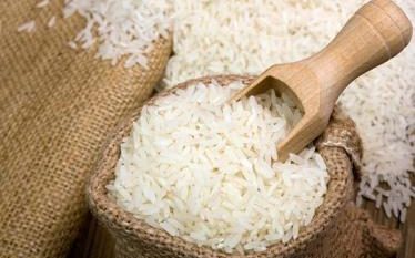 واردکنندگان برنج دست به دامن رئیس جمهور شدند
