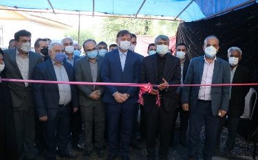 ارتقای کیفیت محصولات کشاورزی رویکرد مهم در گیلان است