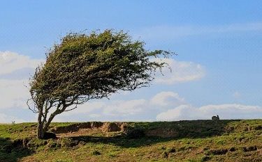 افزایش ۴ تا ۱۰ درجه ای دمای هوای گیلان/ احتمال گسترش حریق در جنگل ها