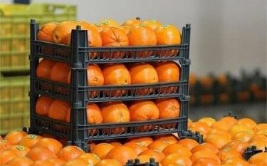 استان گیلان به مقدار کافی ذخیره کالاهای اساسی و میوه شب عید دارد