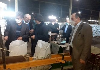 آغاز توزیع ۲ هزار تُن بذر گواهی شده برنج در استان گیلان