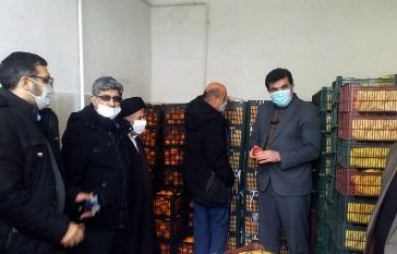 تداوم توزیع میوه عید با نرخ دولتی در شهرستان شفت / پرتقال ۱۰ و سیب ۱۱هزار تومان