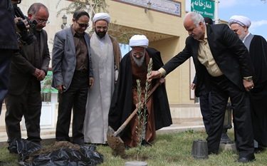 کاشتن چهار تا درخت هنر نیست، جلوی غارتگری جنگل را گرفتن هنر است!