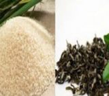 واردات برنج و چای تا وجود این محصولات دست کشاورز انجام نمی‌شود
