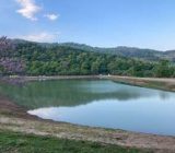 آب بندان ها منابعی با ارزش برای تولید و اشتغال در گیلان هستند